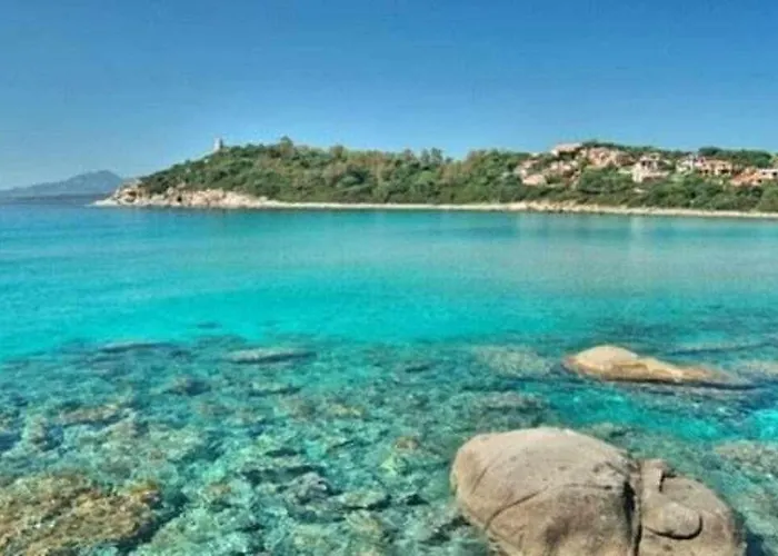 Michi Тортоли