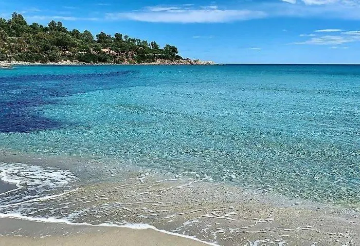 Michi Сasa de vacaciones